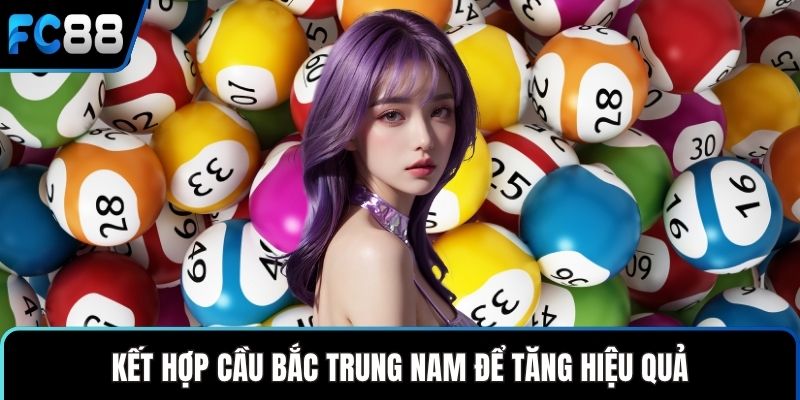 Kết hợp cầu Bắc Trung Nam để tăng hiệu quả